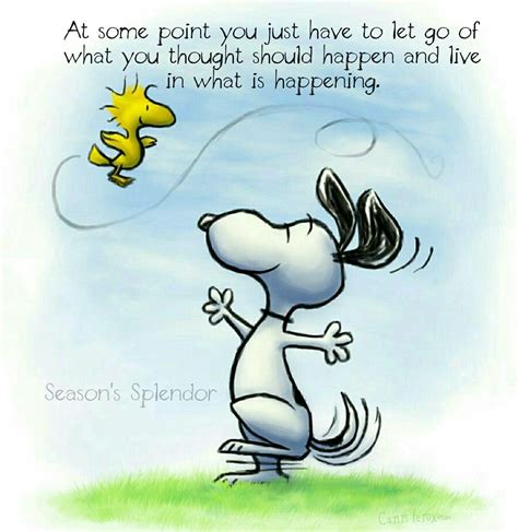Snoopy quotes and sayings 285Pins 3y Colle