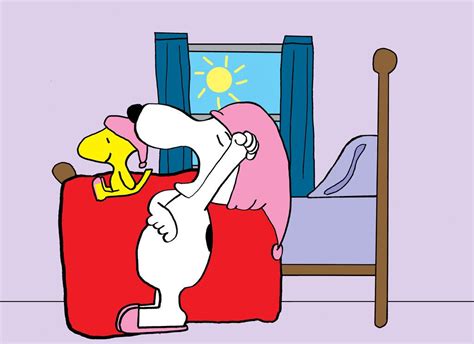 Snoopy wake up. Snoopy, wake up 