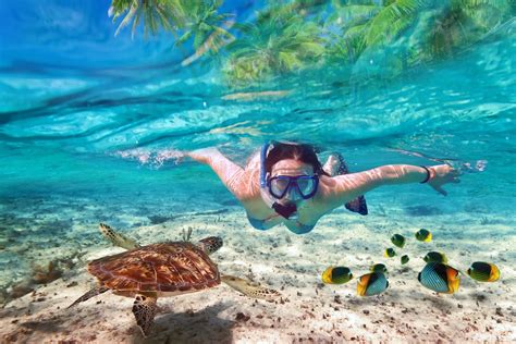 Snorkeling beaches near me. Tropical vacations are fun because they offer a variety of activities to enjoy, such as swimming, snorkeling, kayaking and other water sports. You can also explore the local cultur... 