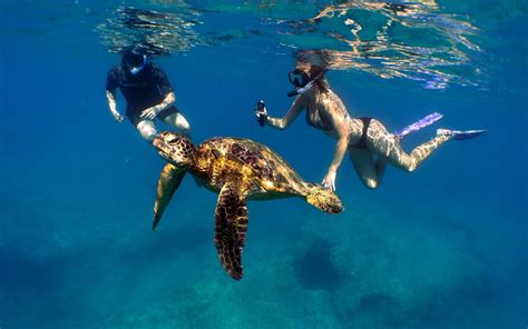 Snorkeling in honolulu hawaii. While there are no bridges connecting any of the Hawaiian islands, you can drive around on each island individually. If you are moving to the island and need a vehicle, you do not ... 