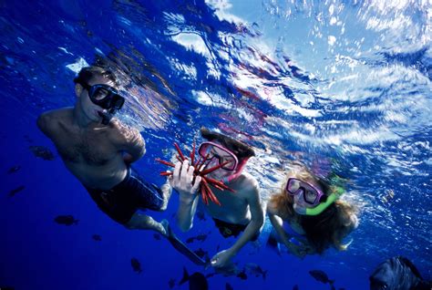 Snorkeling tours maui. A tour guide is a person who guides tourists around a particular place that they are visiting and offers them relevant information about the place. The tour guide is responsible fo... 