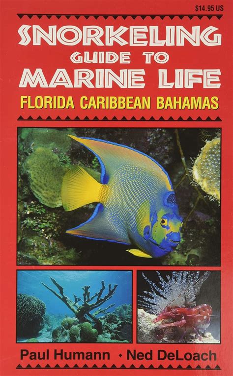 Read Online Snorkeling Guide To Marine Life Florida Caribbean Bahamas By Paul Humann