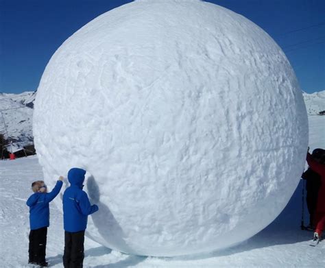 Snow ball. Things To Know About Snow ball. 