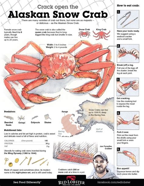 Where do the calories in Red Lobster Wild-Caught Snow Crab Legs, without sides or sauce come from? 29.5% 70.5% Protein Total Fat 440 cal. There are 440 calories in 1 order of Red Lobster Wild-Caught Snow Crab Legs, without sides or sauce. You'd need to walk 122 minutes to burn 440 calories.