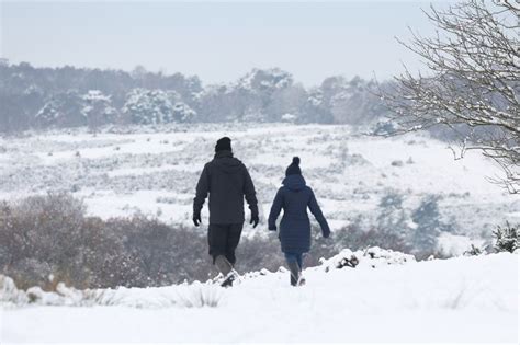 Snow forecast in Sussex as Arctic blast set to sweep county