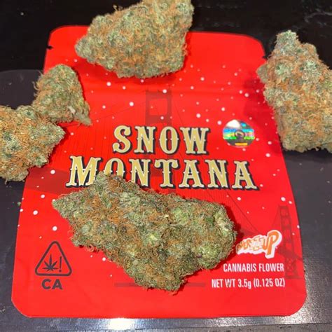 Snow montana strain. Most Snow Mountain phenotypes will be approximately indica-dominant and produce large resinous colas that exhibit a sweet hashy aroma and trichome -stacked sugar leaves that hash makers will covet ... 