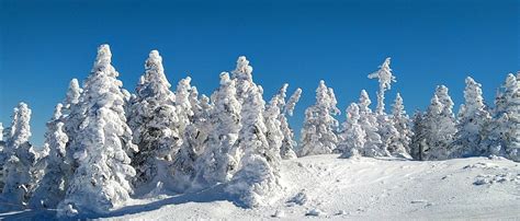 🍑 Snowcatt Onlyfans Leaked [SEX VIDEO] 155 Vids