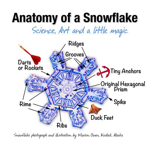 Snowflake Facts: Lesson for Kids - Study.com