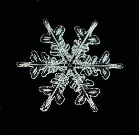 Snowflake Science Experiments for Kids - Tinybeans