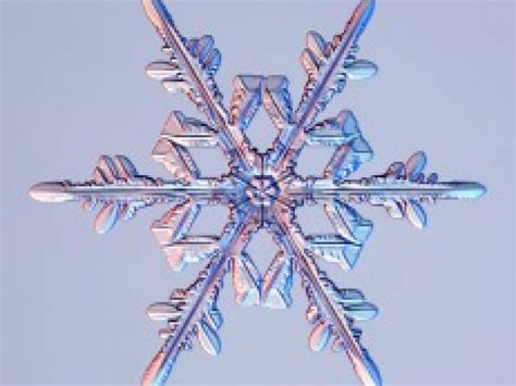 Snowflake is not null. Things To Know About Snowflake is not null. 