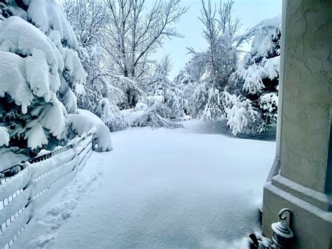 Snowwwy Onlyfans Leaked 💋 PORN