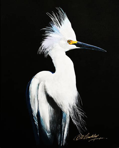 Snowy Egret Paintings - Fine Art America