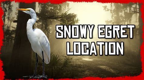 Snowy egret rdr2 online. Smallmouth Bass Details & Location: Smallmouth Bass are commonly seen in northern rivers. They prefer natural baits, such as crickets, over lures. Larger and tougher than Rock Bass, Smallmouth Bass can put up quite a fight once hooked. They seem to be most active during rain. A Legendary Smallmouth Bass is said to live in western Big Valley. 