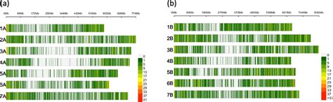 Snp density plot from vcf.  I want to calculate SNPs/KB density count from a Quality fi...