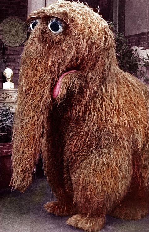 Snuffy sesame street. Things To Know About Snuffy sesame street. 