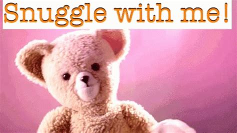 Snuggle Bear GIFs Tenor