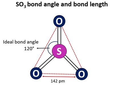 So3 bond angle. Since bond length decreases as bond order increases, SO3 is predicted to have the shorter bond length. Sulfite ion has the shorter "S-O" bonds. The Lewis structure of "SO"_3 is (from chemistry.stackexchange.com) It has a total of six σ and π bonds to the three "O" atoms. The average bond order of an "S-O" bond is 6/3=2. 