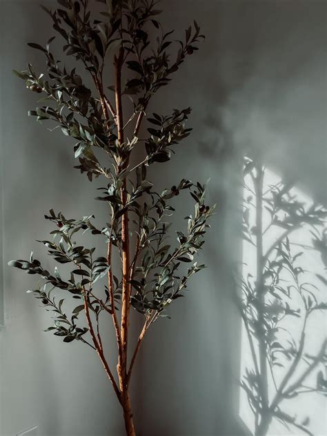 🍑 (SEX) So_Vanessa_ Onlyfans Leaked