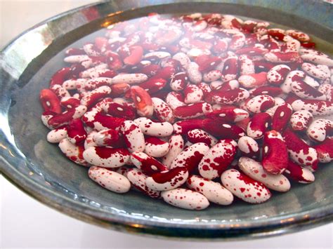 Soaking / Brining Dried Beans - Clovegarden