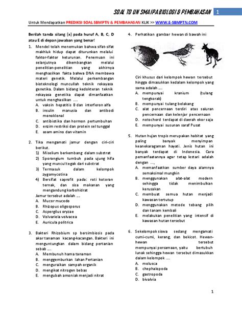 Soal Un Biologi Sma 2024 Dan Pembahasannya Pdf - BELAJAR