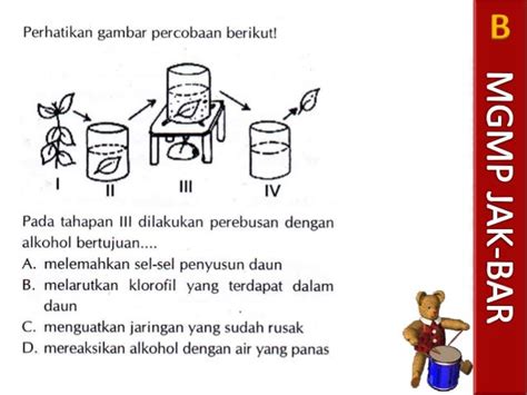 Soal Un Biologi Sma Materi Fotosintesis Materi Soal