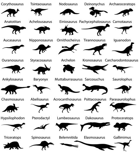 Sobre pisadas de dinosaurios del cretacico inferior de colchagua (chile). - Priscilla shirer gideon viewer guide answers.