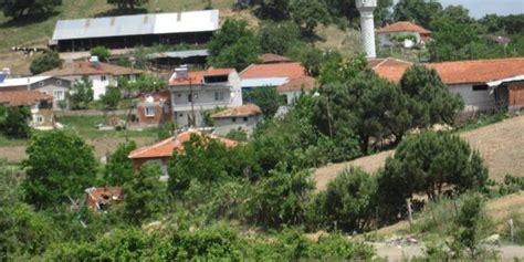 Sobucealan Halı ve Koltuk Yıkama