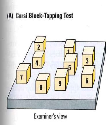 Soc of Sports Chapter 7 Flashcards Quizlet