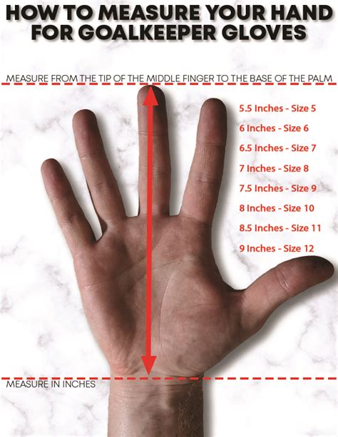 Soccer Goalie Glove Sizing Chart Keeperstop