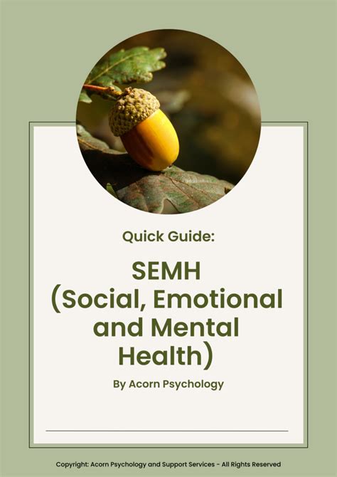 Social, Emotional and Mental Health (SEMH)