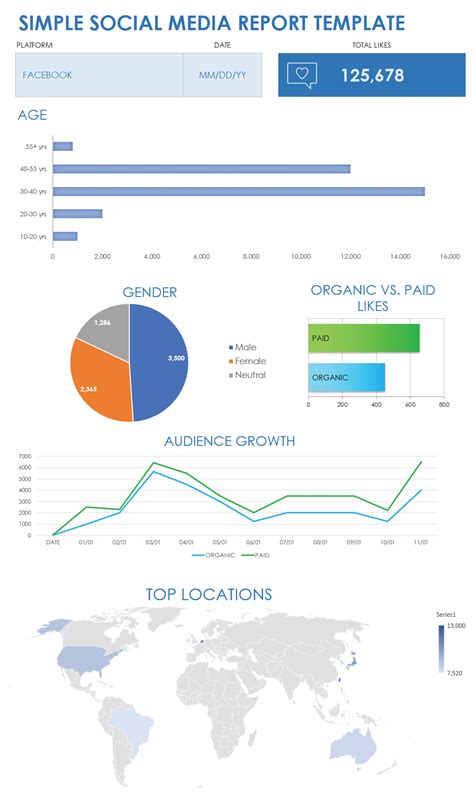 Social Media Management Report Template