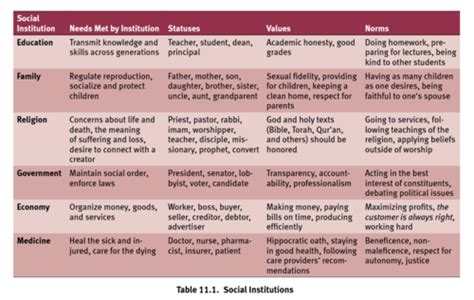 Social Structure Flashcards Quizlet