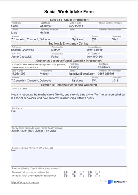 Social Work Intake Form & Template Free PDF Download