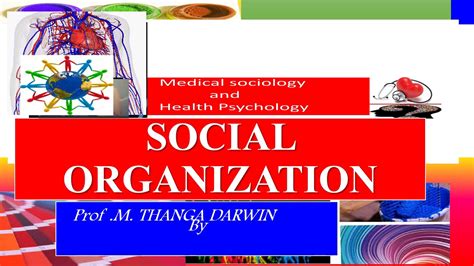 19 Mar 2021 ... Social organization is all those groups made up of a group of people who share opinions, values, worldviews, interests and concerns, in order to .... 