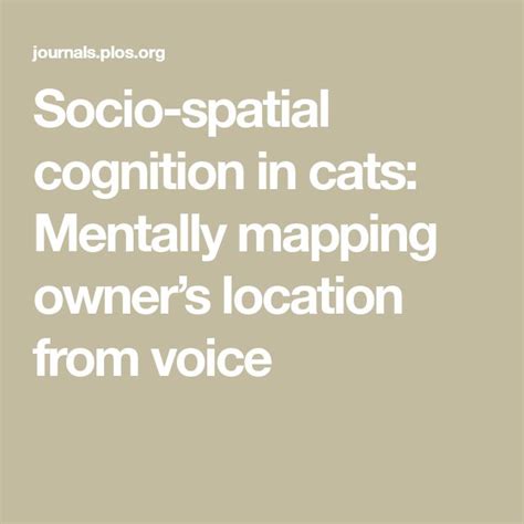 Socio-spatial cognition in cats: Mentally mapping owner's location from voice - NASA/ADS