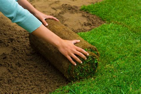 Sod install. Jul 15, 2023 ... One popular choice is sod, which involves installing pre-grown grass onto your property. Sod offers numerous benefits and can transform your ... 