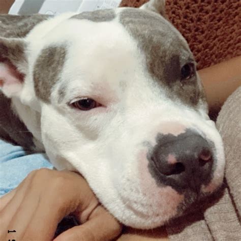 🍆 PORN Sofia Delgado Leaks