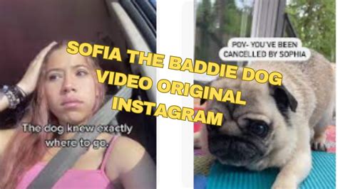 Ordinary people first viewed the leaked Sofia The Baddie Dog video after it was posted online and shared across social media platforms. By then, the internet was already flooded with several other videos linked to his account. Many people were interested in the video, and it quickly became a hot topic on the internet. Online video viewers are .... 