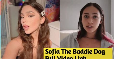 25K views 8 months ago. Sofia, also known as Sofia the Baddie, is a TikTok user with 3000 followers. Some people think it is an old video of a different girl …. 