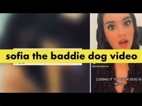 This article about the Sofiathebaddie Dog Video provides insight into the viral video and the girl. ... Sophia the baddie Original Vdeo Viral On Reddit- FAQs: Q1. Who is the girl in the viral video? No information about her was present on the web. The only thing known is that her account is "Sophia the baddie".. 