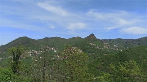 Sofrakaya Halı ve Koltuk Yıkama