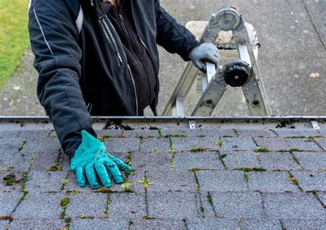 Soft Wash Roof Cleaning Services Near Me