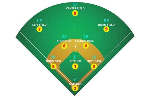 Softball Field Layout And Positions