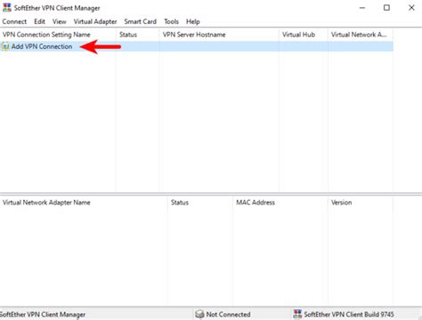 Softether vpn server. crt/key and server.  My virtual adapter IP address :...