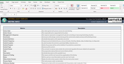 Software Audit Template