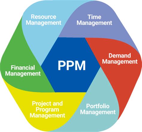 Software for Project and Portfolio Management PPM SoftExpert