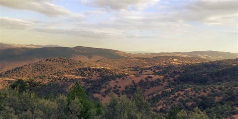 Soguksu Halı ve Koltuk Yıkama