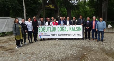 Sogutluk Halı ve Koltuk Yıkama