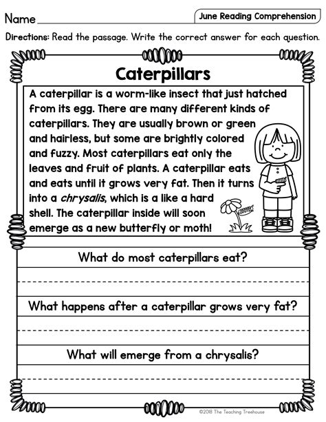 Soil 1st Grade Comprehension Passage (2024)