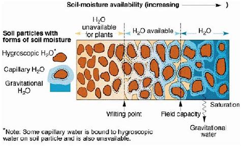 Soil Consistency: Meaning and Moisture Levels - Soil Management India